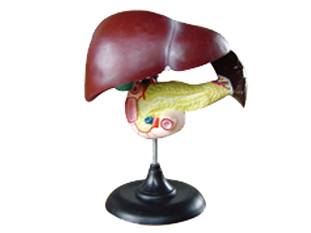 SD-093 33216ʮ֬cKģ